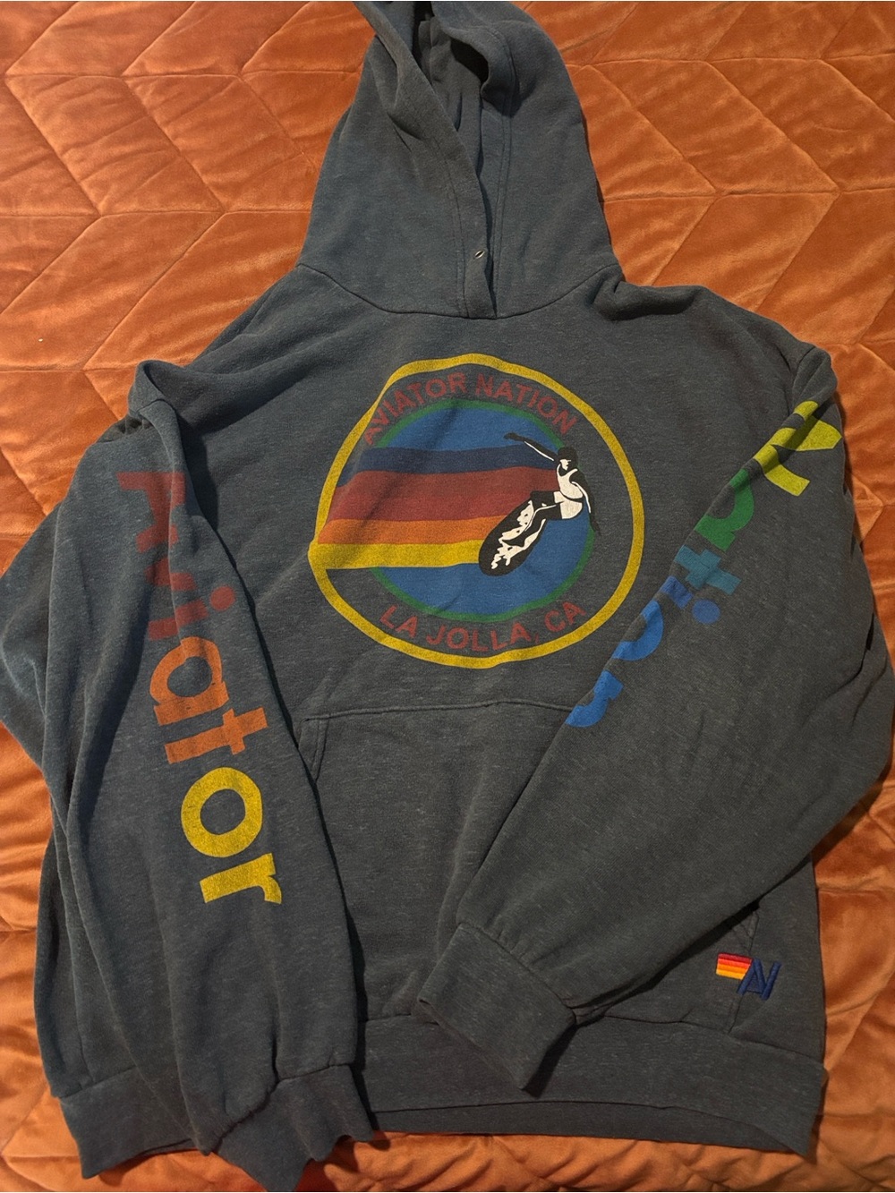 Aviator Nation Relaxed Pullover Hoodie